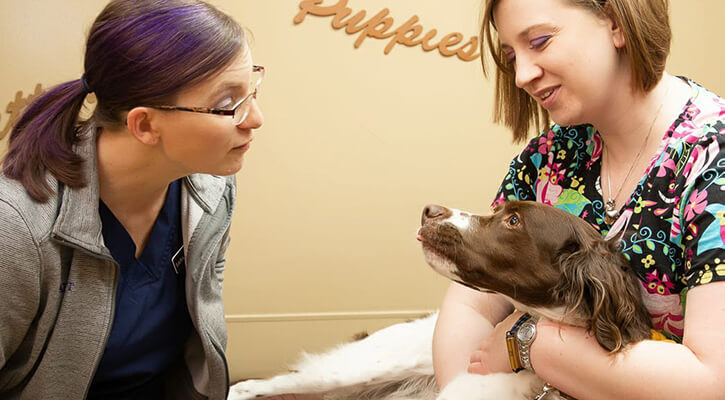 kronenwetter-78-of-225-RS Pet Examination